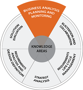 Infographic showing Business Analysis Planning and Monitoring slice of IIBA Business Analysis Competency Model